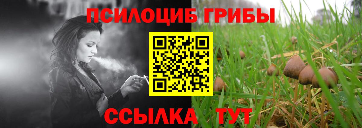 Псилоцибиновые грибы MAGIC MUSHROOMS  Псилоцибиновые грибы Psilocybine cubensis  Вход с VPN  Арсеньев 